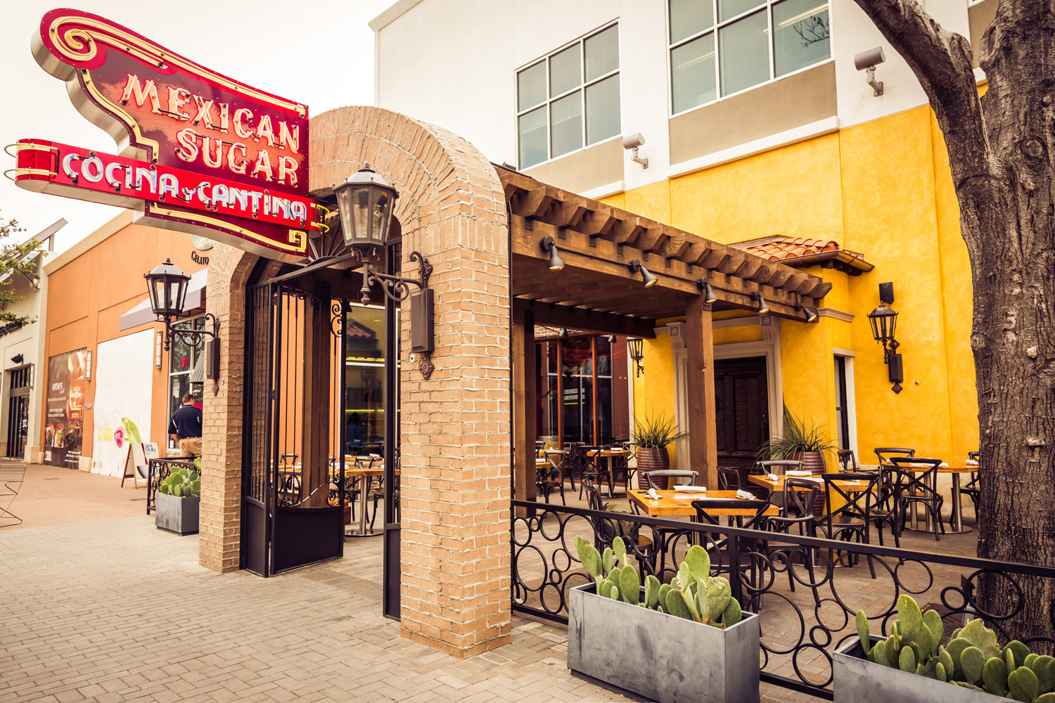 Mexican Restaurants In Plano Texas | Best Restaurants Near Me