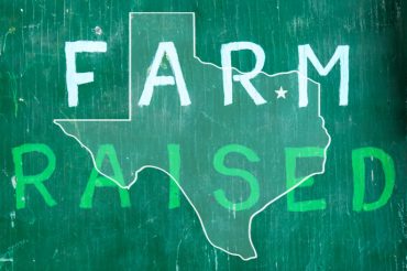 Collin County Farmers Market / PlanoMagazine.com