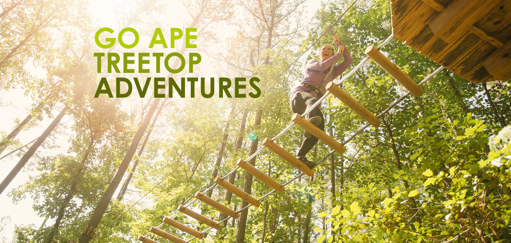 Go Ape Treetop Adventure Course Opens In Plano Plano Magazine