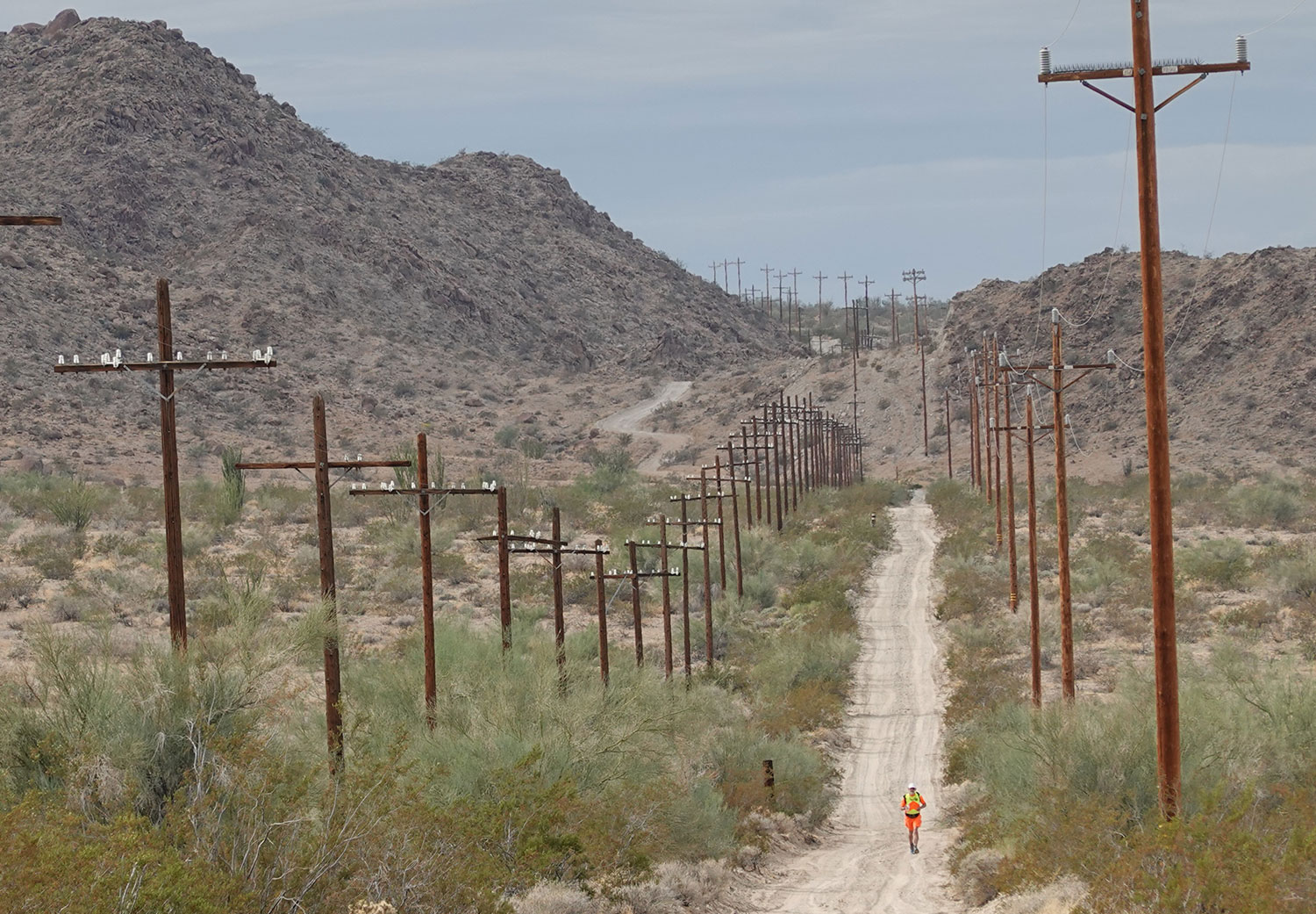 Don running in the Mojave Desert in California
