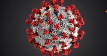 On March 14, the first presumptive positive case of COVID-19 was reported in Plano, and this spiky red ball quickly became the image that everyone never wanted to see again // courtesy CDC