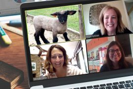 As Zoom meetings became the norm, the Heritage Farmstead Museum began offering in June to have farm animals hop on and make video calls less monotonous // courtesy Heritage Farmstead Museum