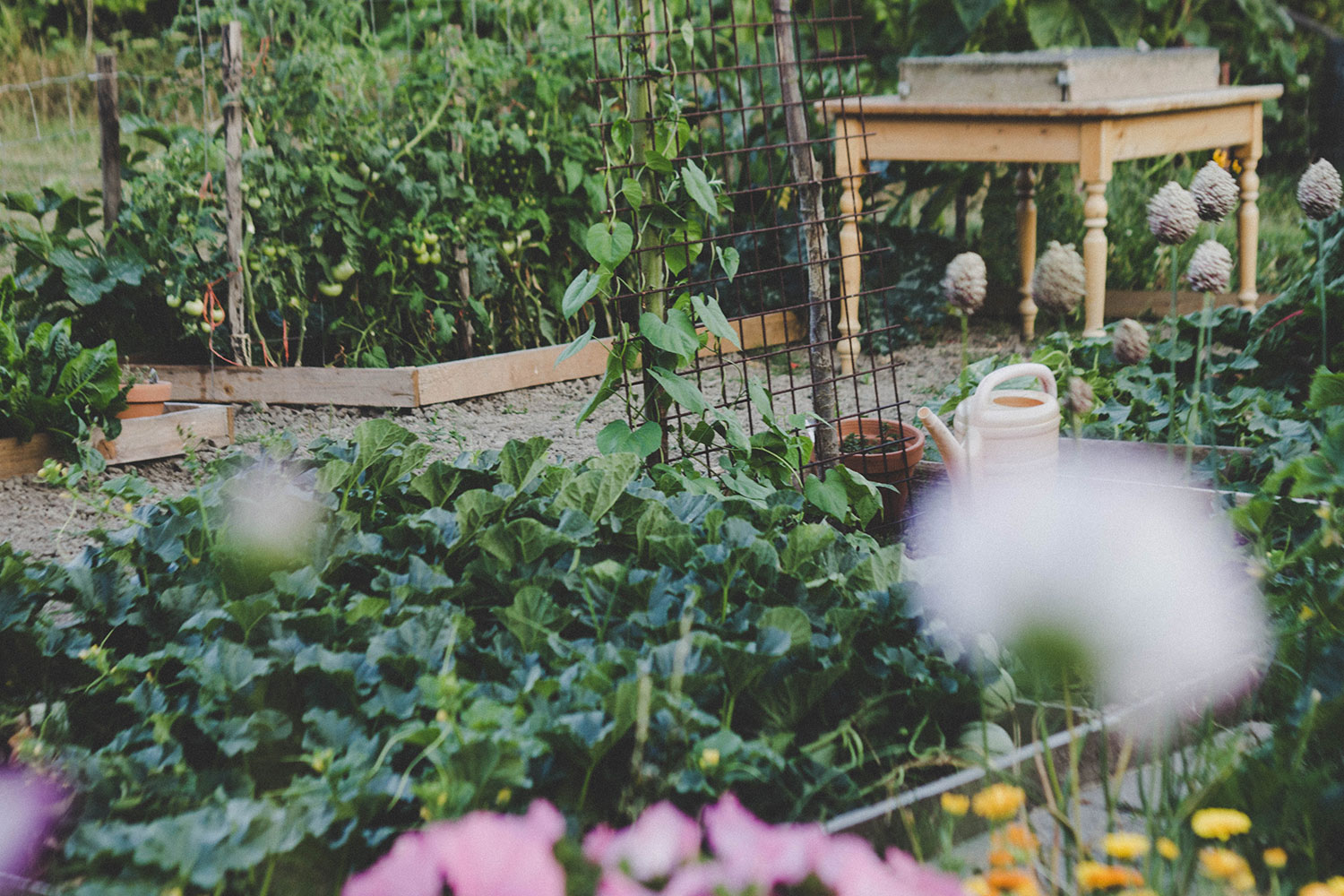Keep your garden in tip-top shape // courtesy Stella de Smit