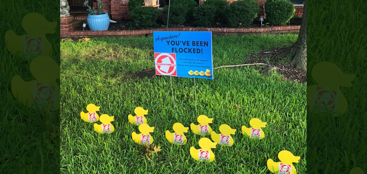 Send a flock of ducks to a friend's yard // photo courtesy This Side Up! Family