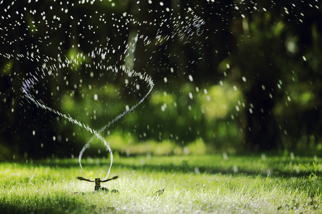 Narrow depth of field Sprinkler head sprinkles water on grass with bokeh backgound