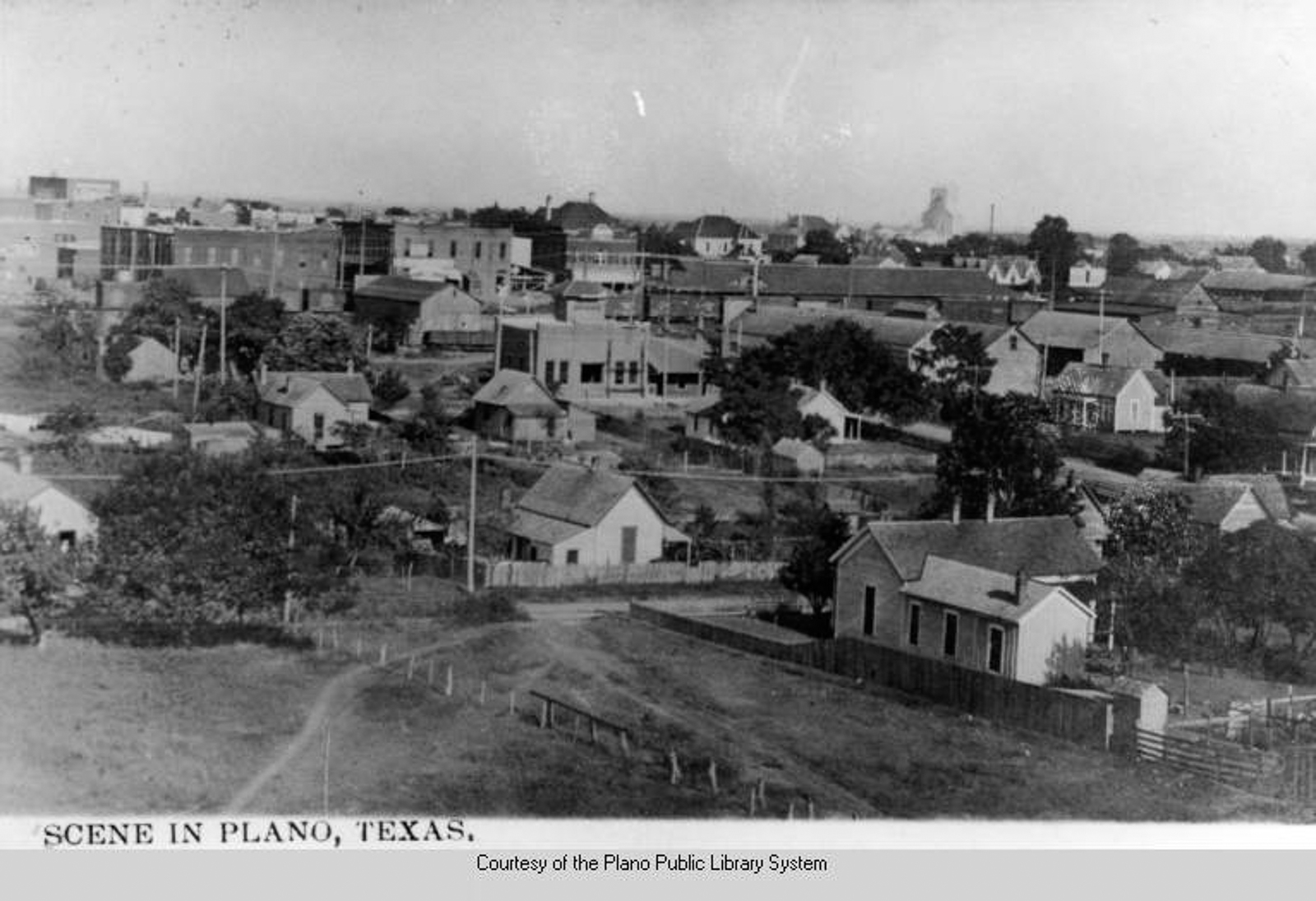 Photos provided by Plano Public Library