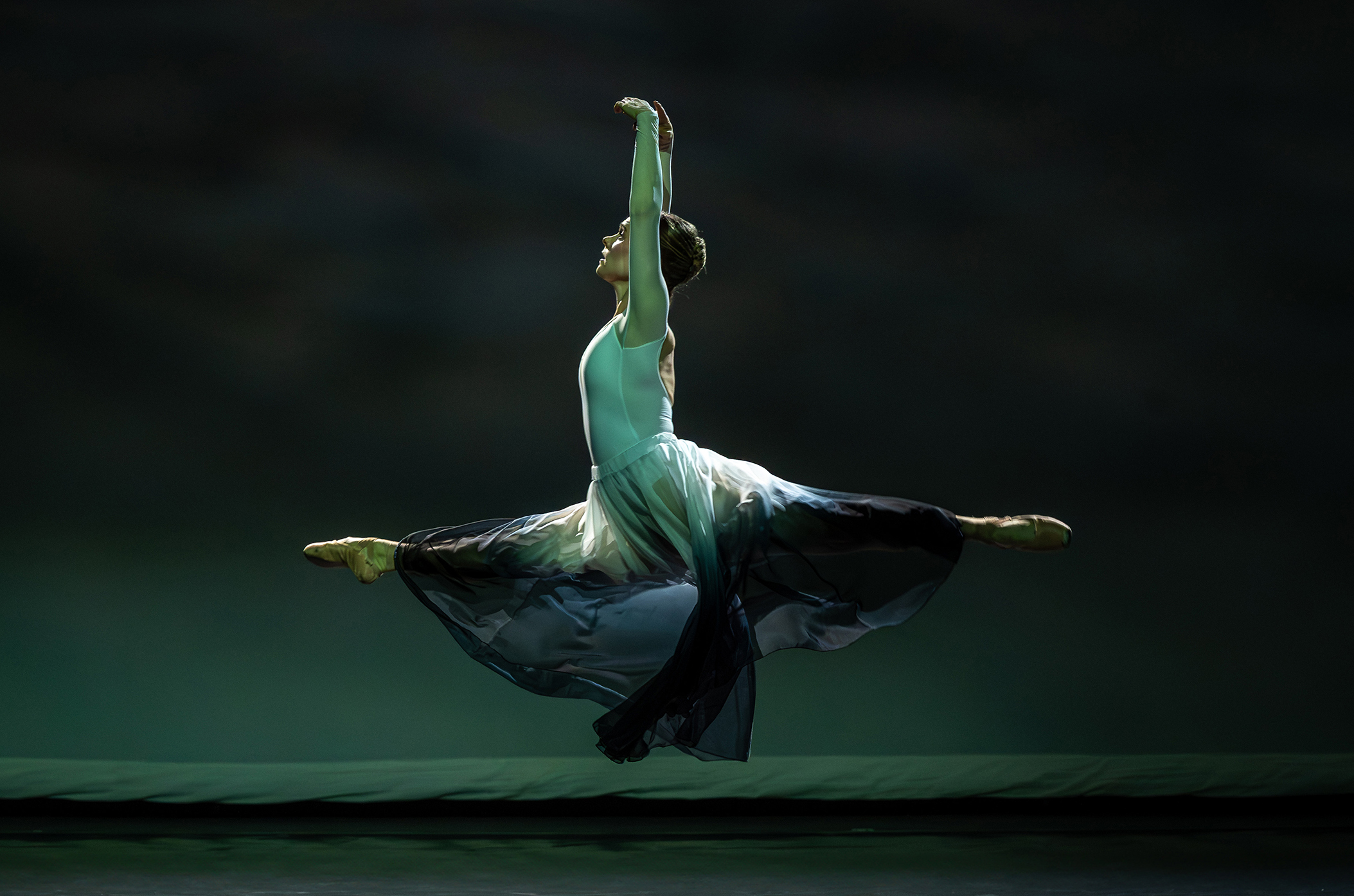 Photography courtesy of Scott Chow.