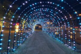 Lights On The Farm 2025, Through Dec. 27. Heritage Farmstead Museum.