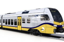 Dart Silverline